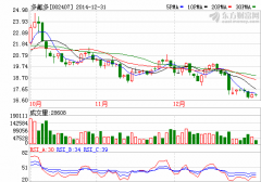多氟多：目前動力鋰電池供不應求 明年達1億Ah