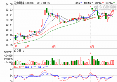 滄州明珠:新能源汽車風起,鋰電池隔膜騰飛
