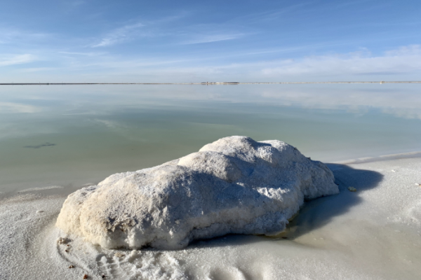 鋰礦如金礦！近10家鋰企凈利呈倍數增長，掌門人集體沖擊富豪榜