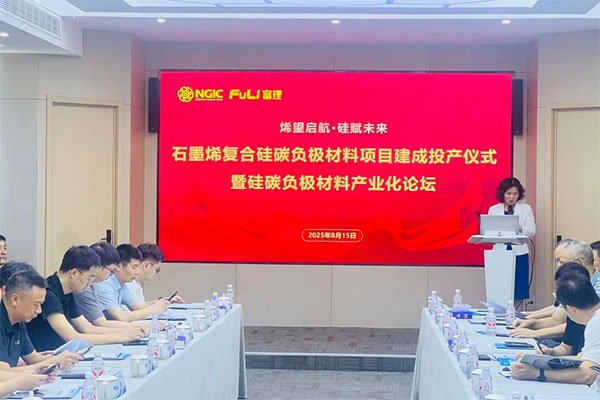 年產300噸！這一石墨烯復合硅碳負極生產線正式投產