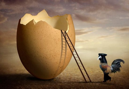 買了蛋就送雞 電動(dòng)車與充電樁一起賣破解充電難題