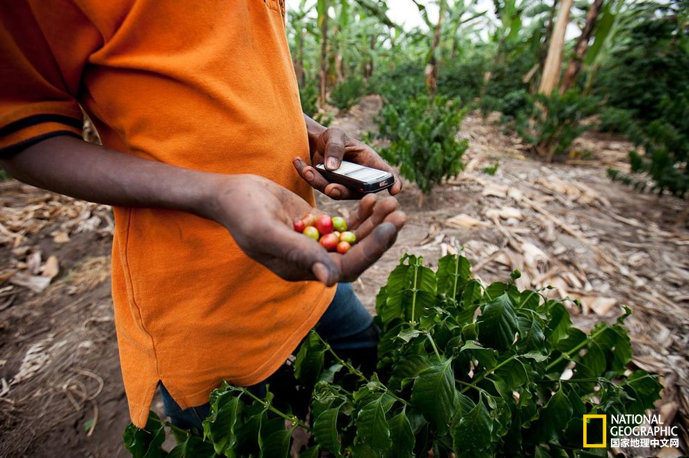 手機如何幫助解決全球饑餓問題？