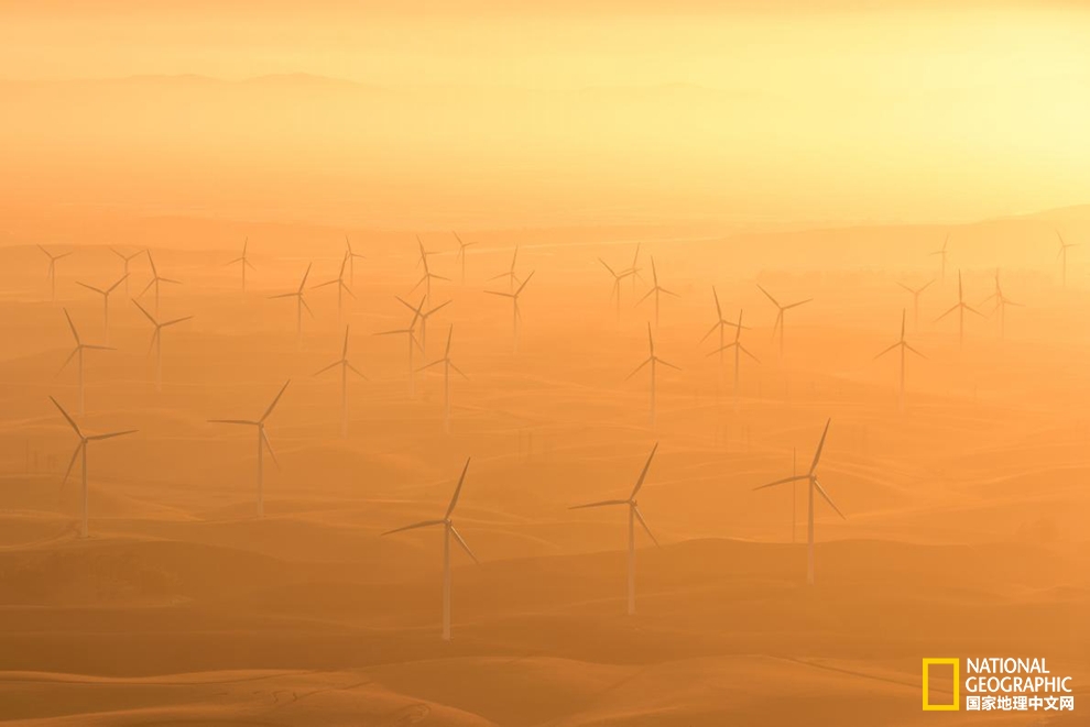 藝術(shù)感十足？新能源也可以美出新花樣！pic