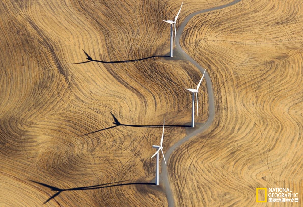 藝術(shù)感十足？新能源也可以美出新花樣！pic