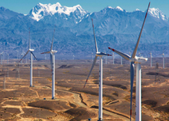 武鋼:避免政策用力過猛 “去補貼”要把穩節奏