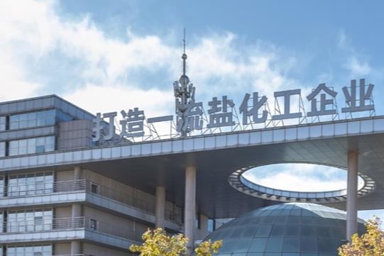 這家鹽化工企業入局電解液領域 擬投18.78億建新項目