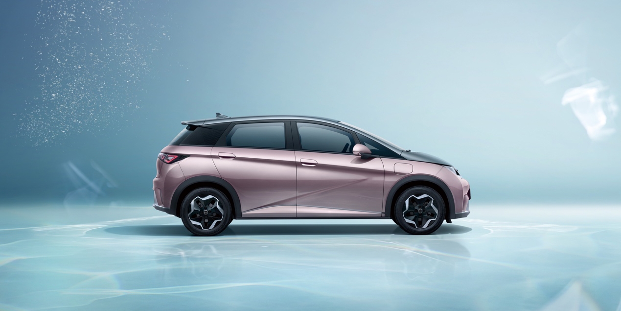 兩部門(mén)：支持新能源汽車(chē)下鄉(xiāng) 提供多元化購(gòu)買(mǎi)支持政策