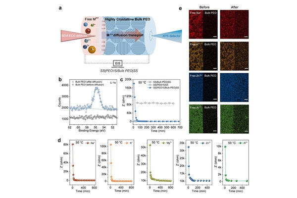 提升電池安全等性能！我國聚合物固態電解質研究獲進展