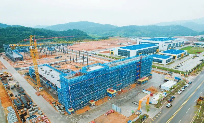 圖/龍巖市融媒體中心