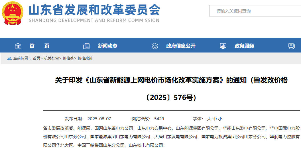 山東：推動新能源上網電價全部由市場形成