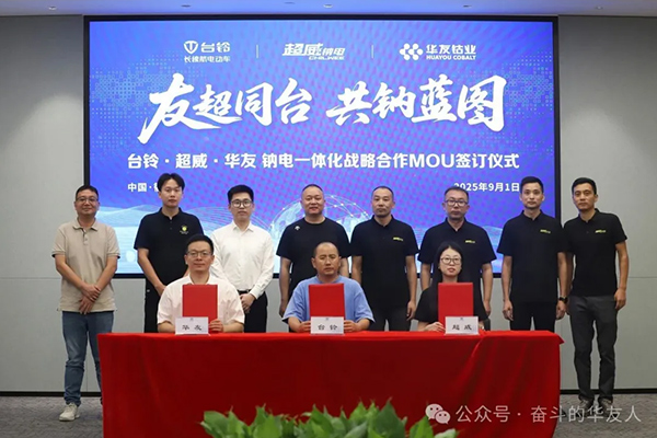 圖片來源：華友鈷業(yè)