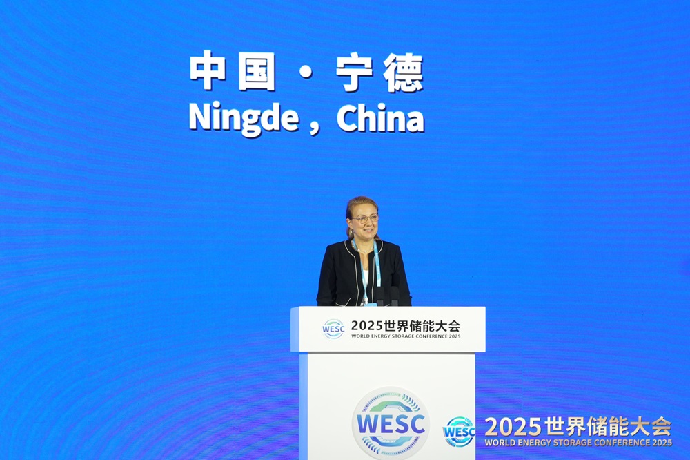 國際可再生能源署發(fā)布全球首份儲能專題報(bào)告完整版 寧德時(shí)代深度參與