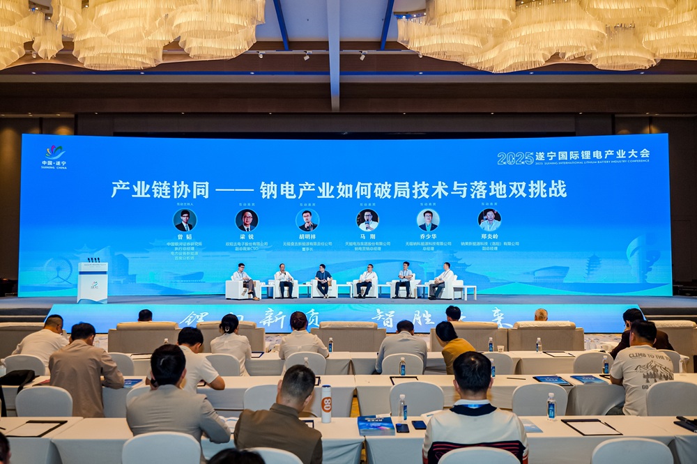 2025遂寧國際鋰電產業大會鈉電池分論壇互動環節