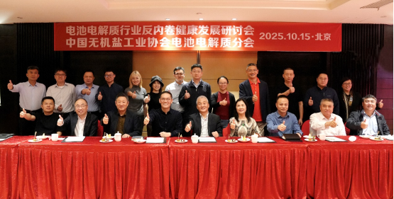 破局“內(nèi)卷”！電池電解質(zhì)行業(yè)健康發(fā)展研討會(huì)發(fā)布共同倡議