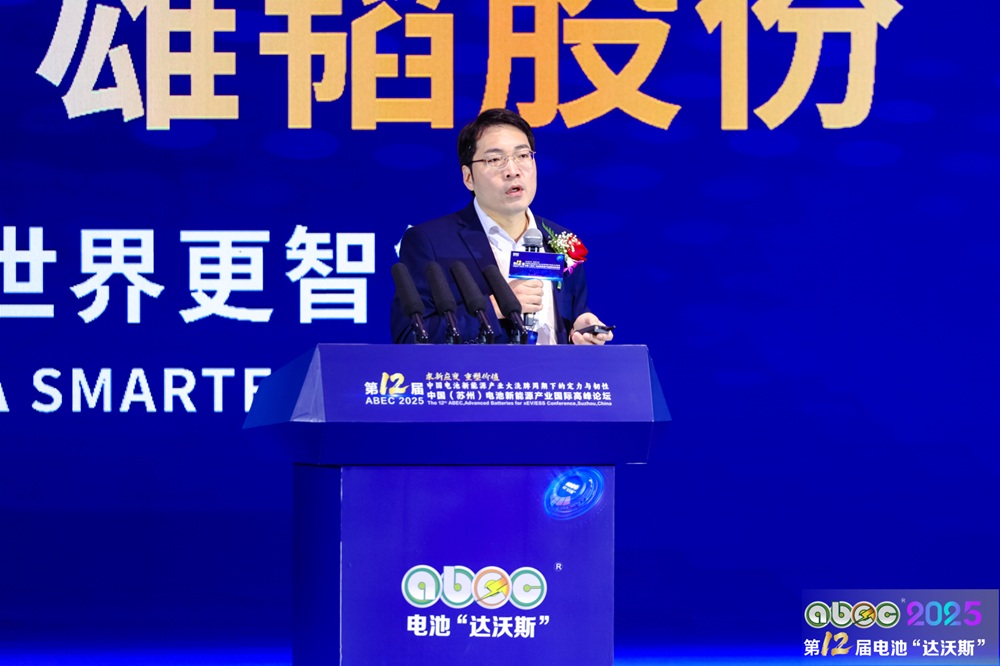 中國科學院上海硅酸鹽研究所研究員、能源中心主任張濤