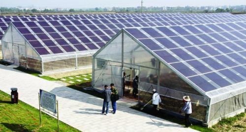 光伏行業(yè)：政策去產(chǎn)能PK“雙反”魔咒？