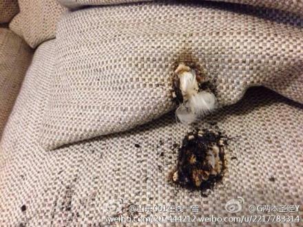 網友微博曝小米移動電源半夜自燃 滅火及時