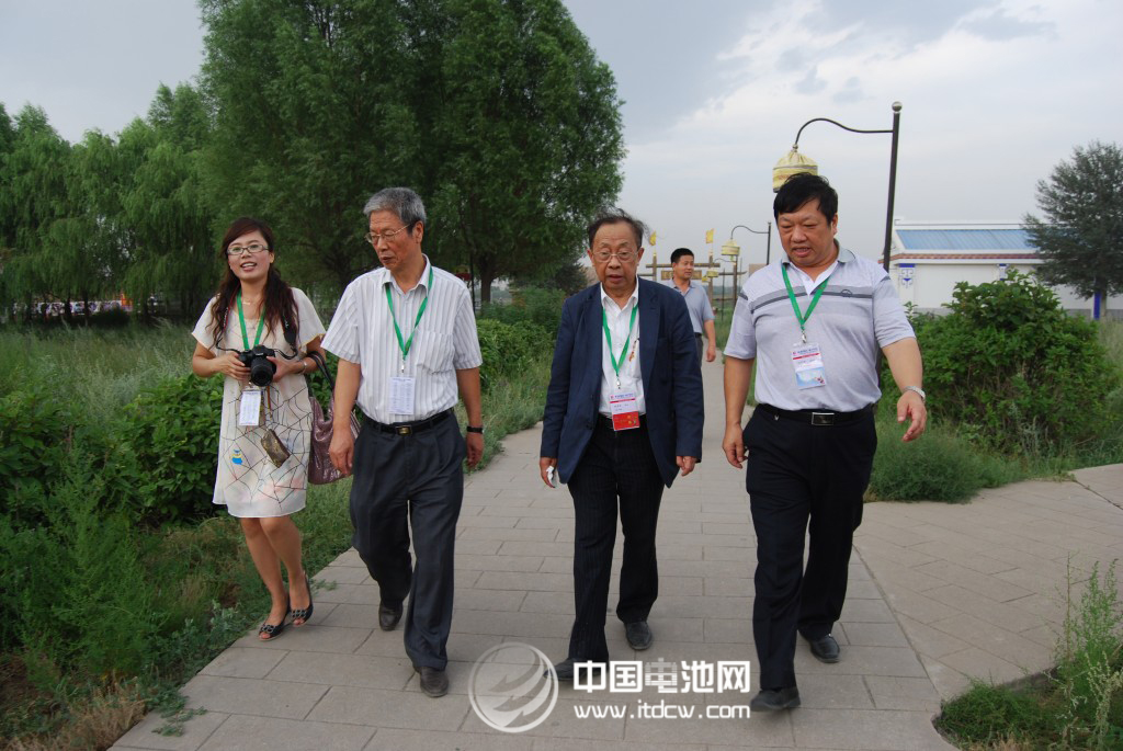 衣寶廉：燃料電池和全釩液流電池儲(chǔ)能應(yīng)用前景光明