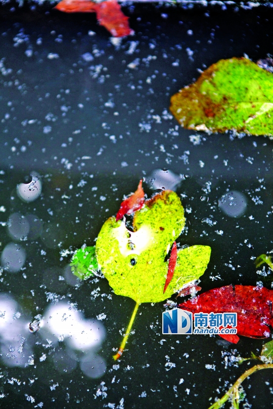 空巢小村血鉛疑云：附近無工廠無礦產 污染源成謎