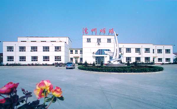 滄州明珠確認(rèn)出席第二屆鋰電“達沃斯”