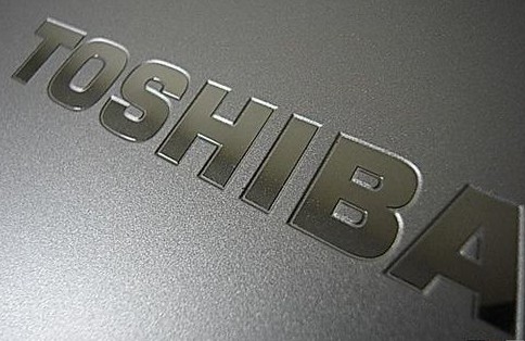 東芝計(jì)劃于今年內(nèi)結(jié)束電子書(shū)閱讀器的制造、銷售業(yè)務(wù)，至于電子書(shū)的下載服務(wù)則將轉(zhuǎn)移至其他公司。