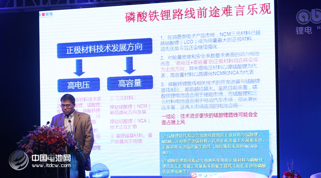 第二屆鋰電“達沃斯”學術委員會秘書長、真鋰研究首席研究員墨柯