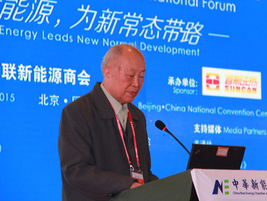 楊裕生：電動(dòng)汽車行業(yè)高額補(bǔ)貼政策存在很多問題