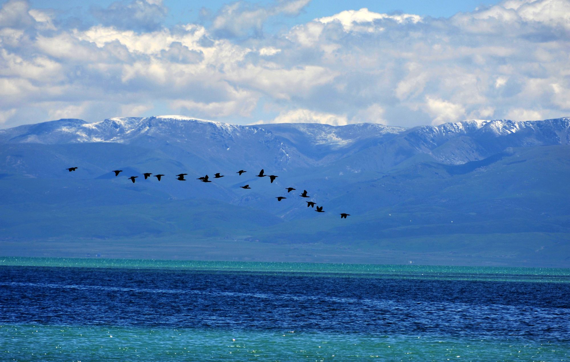 追溯鋰產業成長發展 全國首個鋰產業展覽館落戶青海