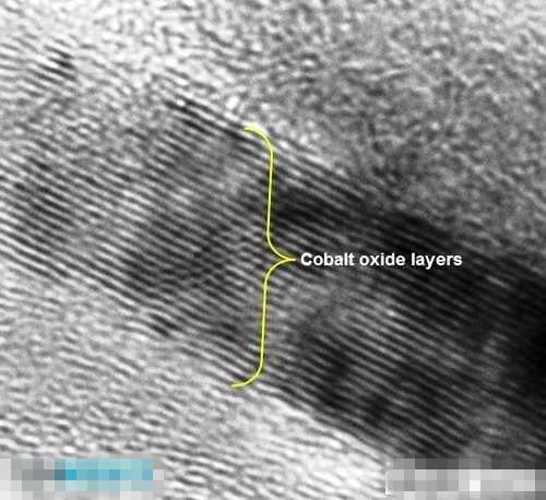 圖九 顯微鏡下的氧化鈷陰極層 圖九 顯微鏡下的氧化鈷陰極層