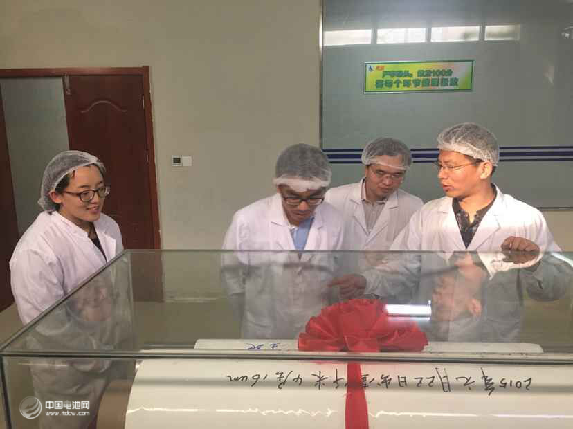 鋰電“達沃斯”組委會學術委員會一行調研惠強新能源