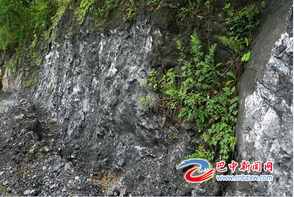 位于南江楊壩——坪河山脈帶的石墨資源