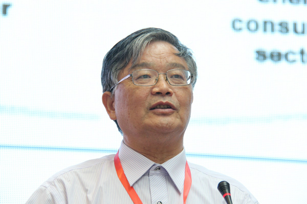 國際氫能協會副主席毛宗強