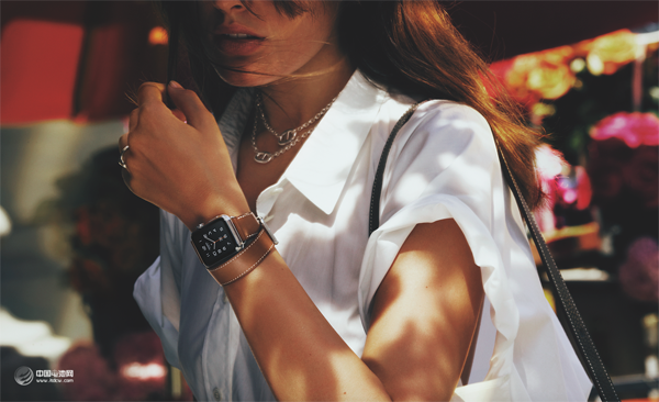 唱衰蘋果前知道的五個事實  最大危機在哪里？