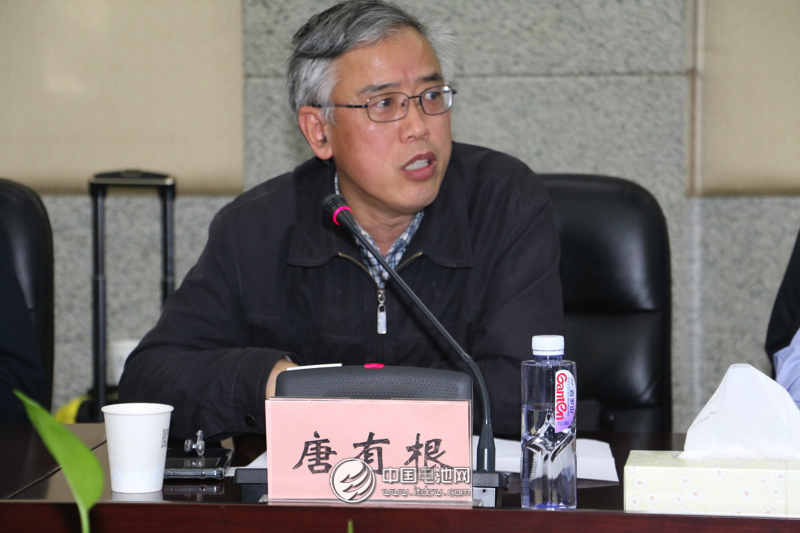 中國儲能與動力電池及其材料專業委員會秘書長、中南大學教授唐有根　　