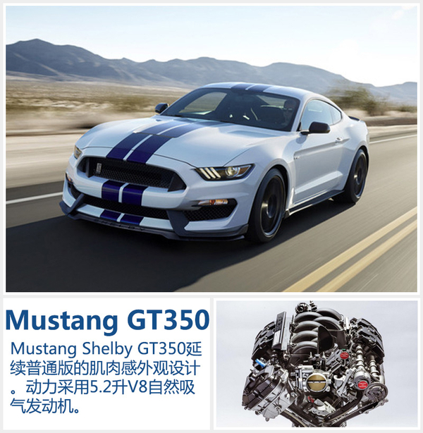 福特將推新能源等4款新車 今日在華發布