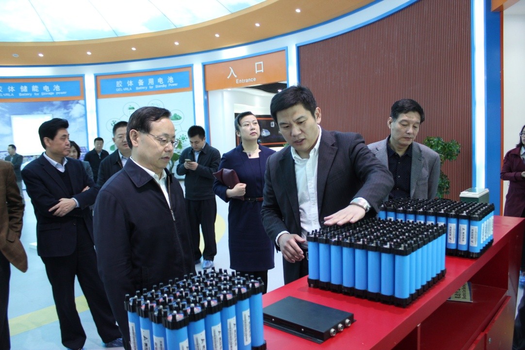 致公黨中央常務副主席蔣作君一行到奧冠電池調研