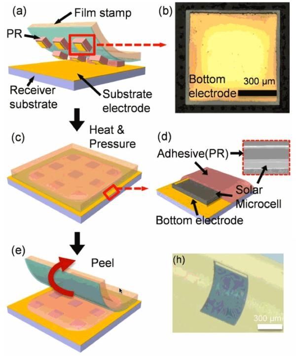 韓國(guó)研制出世界最薄太陽(yáng)能電池 厚度僅為頭發(fā)直徑1%