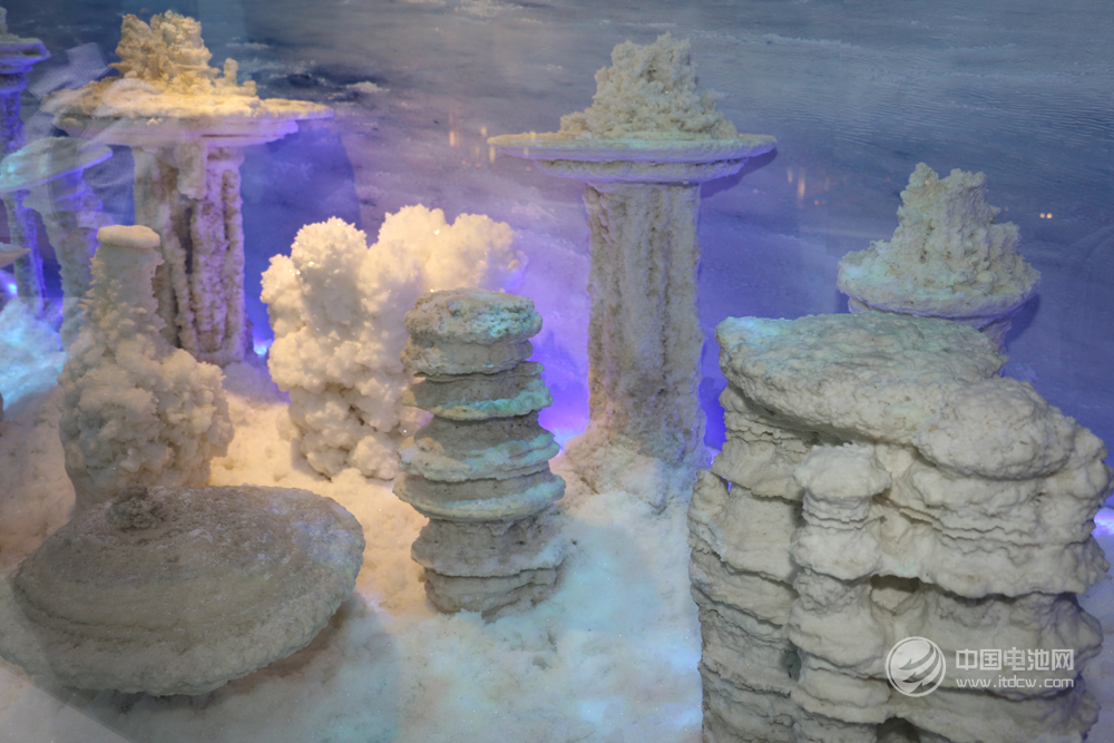 中國科學院青海鹽湖研究所