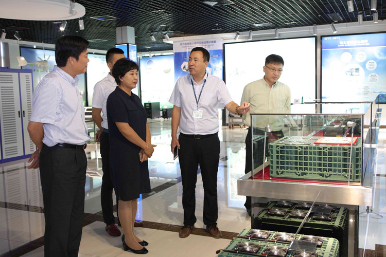 吉林瀚星集團(tuán)副董事長(zhǎng)方長(zhǎng)麗一行參觀考察銀隆新能源