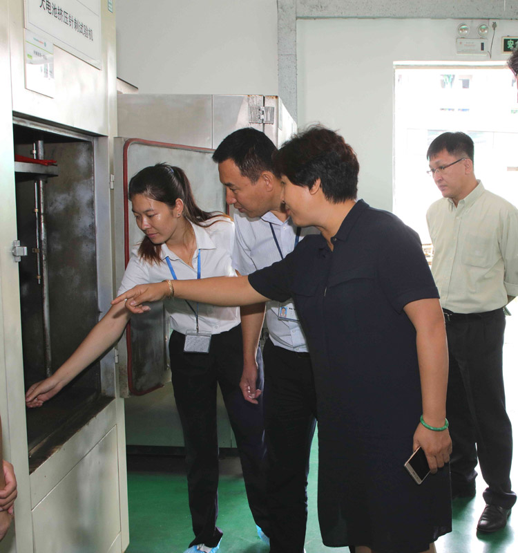 吉林瀚星集團(tuán)副董事長(zhǎng)方長(zhǎng)麗一行參觀考察銀隆新能源