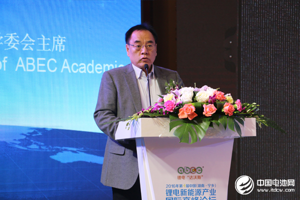 北京大學教授、鋰電“達沃斯”學委會主席 其魯