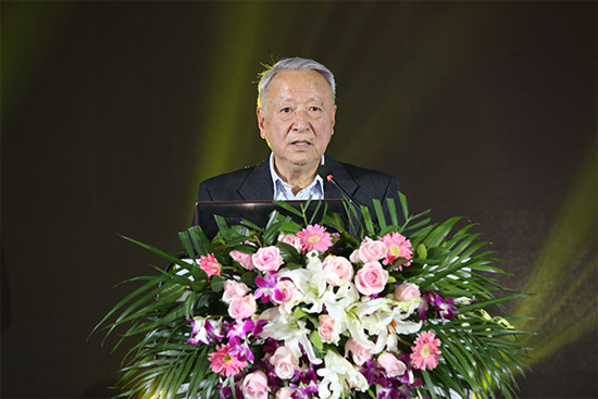 王秉剛：再生能源調(diào)整結(jié)構(gòu) 電動汽車更環(huán)保