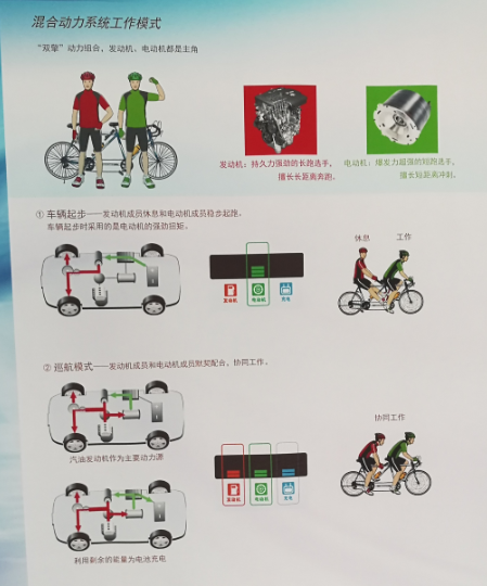 劇情已翻轉：新能源車銷量劇降 普通混動大漲
