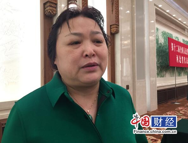 新能源汽車"地方保護(hù)"?人大代表：避免地方過(guò)度干預(yù)