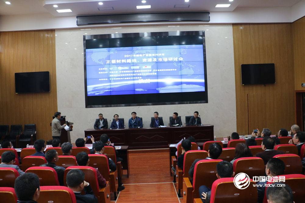 與會嘉賓就鋰電行業熱點問題進行探討