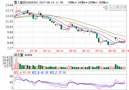 雪人股份副總經理華耀虹：燃料電池汽車將催生氫能經濟吸引力