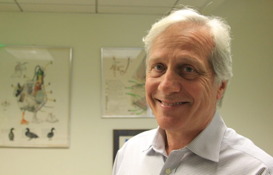 科學(xué)家自述：曾為世界節(jié)省15%電量 如今找到硅替代物