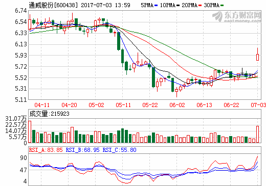 通威股份：上半年凈利潤7億元-8億元 業績預增200%-246%