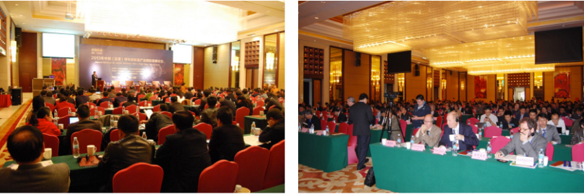 第一屆鋰電“達沃斯”現場（ABEC2013，中國宜春）