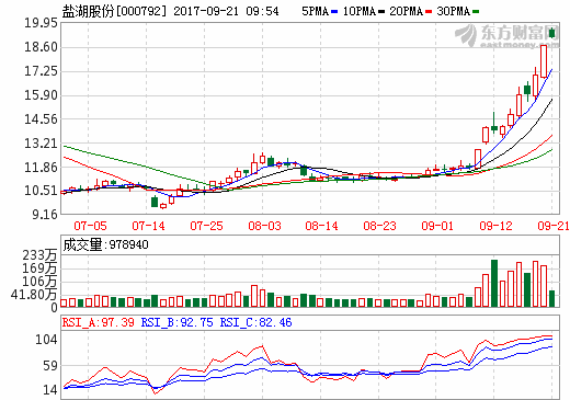 鹽湖股份 鹽湖股份